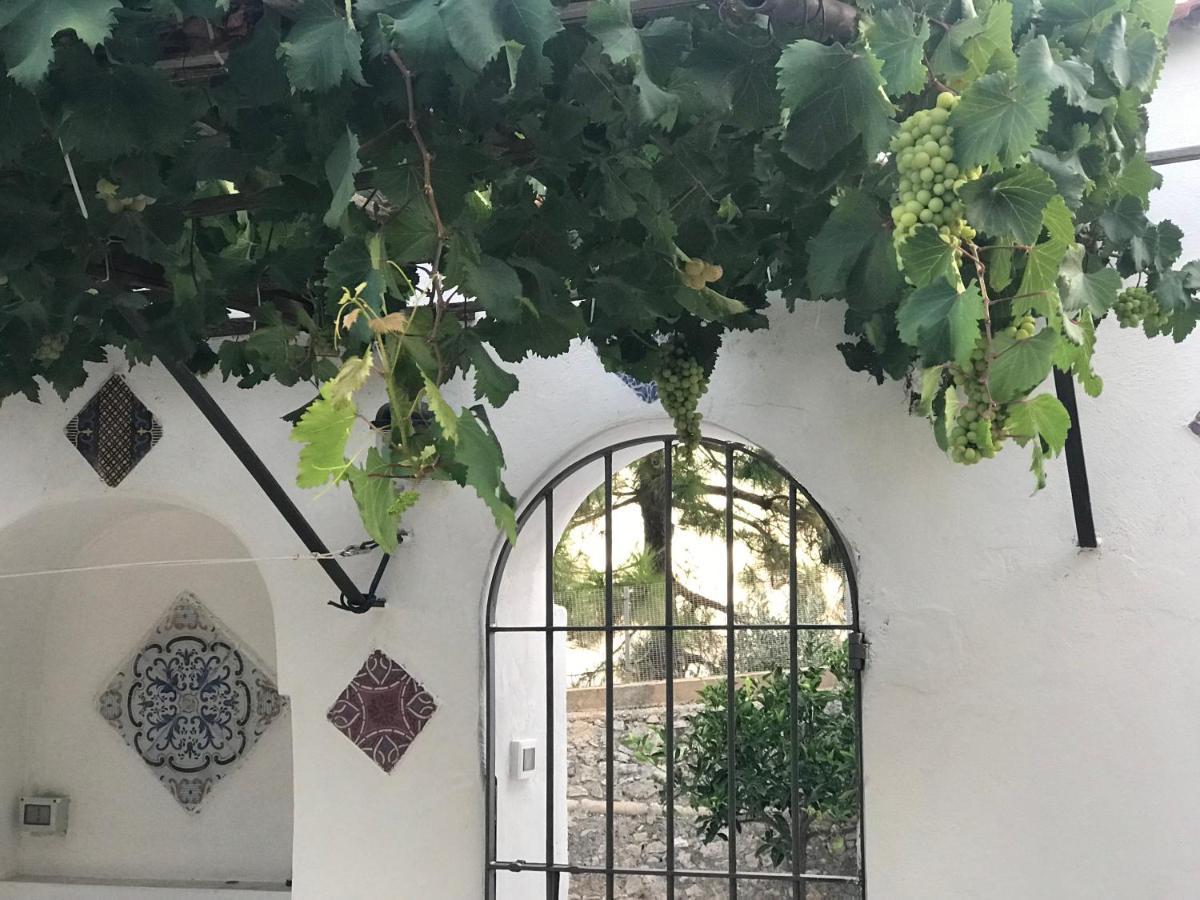 Il Paradiso Di Giacomo إريس المظهر الخارجي الصورة